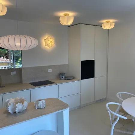 Apartment Oasis